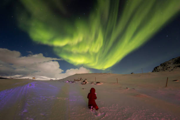 istock The girl under the green lights 1298958410