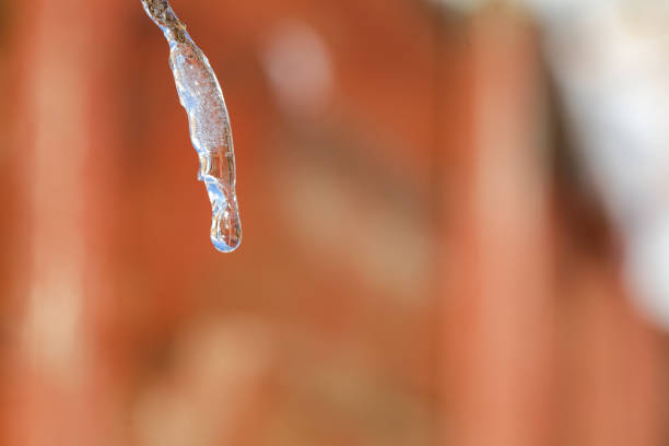 Water drop on leaf and stem covered in snow