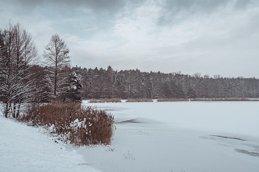 A view of a frozen lake, a sheet of ice covered with snow, a forest in the background.