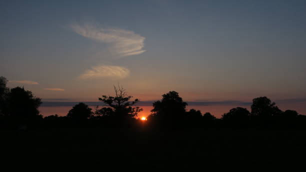 istock Sunset behind woodlands 1298961674
