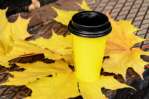 Autumn street still life: yellow cardboard coffee cup with black plastic lid on large yellow maple leaves. Autumn comfort, takeaway coffee, warm autumn.