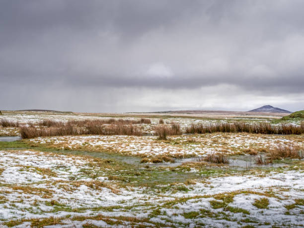 widok z wrzosowiska davidstow, w pobliżu camelford w kornwalii, na bodmin moor. krajobraz ze śniegiem. - bodmin moor zdjęcia i obrazy z banku zdjęć