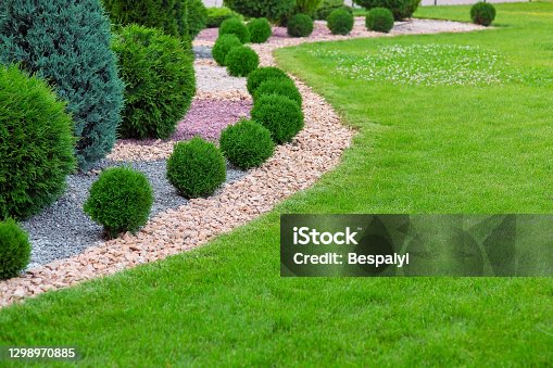 istock Landscape bed of garden with wave ornamental growth cypress bushes gravel mulch by color rock way on a day spring park with green lawn meadow, nobody. 1298970885