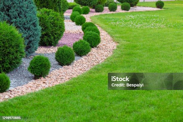 Landscape Bed Of Garden With Wave Ornamental Growth Cypress Bushes Gravel Mulch By Color Rock Way On A Day Spring Park With Green Lawn Meadow Nobody Stock Photo - Download Image Now