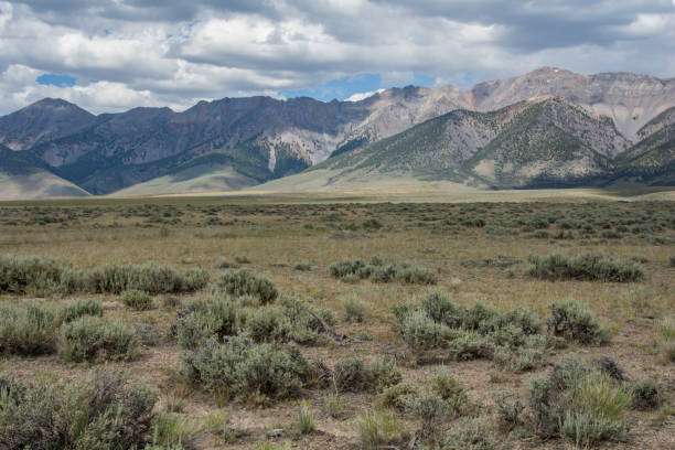 istock Mountain range in the Salmon-Challis National Forest 1298971087