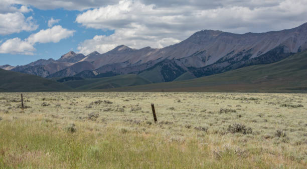 istock Mountain range in the Salmon-Challis National Forest 1298971127