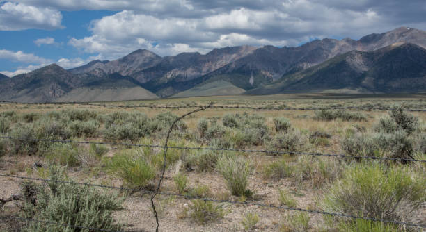 istock Mountain range in the Salmon-Challis National Forest 1298971131