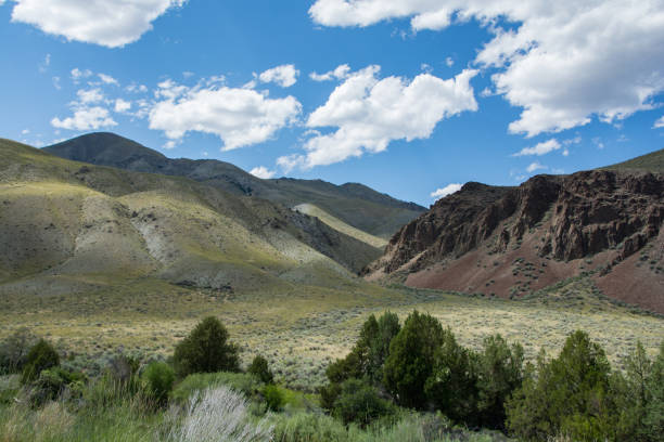 istock Mountain range in the Salmon-Challis National Forest 1298971143