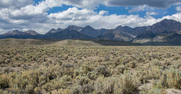 istock Mountain range in the Salmon-Challis National Forest 1298971217