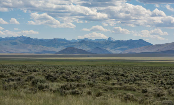 istock Mountain range in the Salmon-Challis National Forest 1298971676