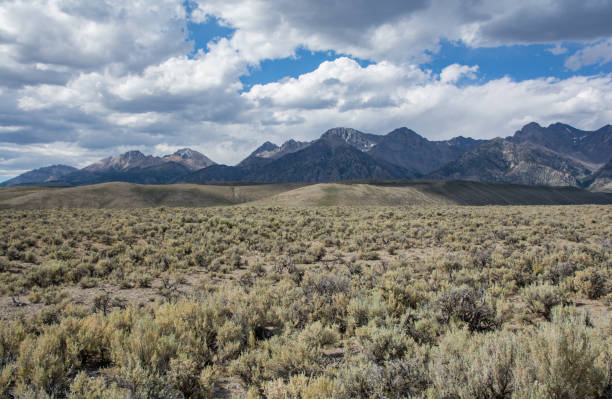 istock Mountain range in the Salmon-Challis National Forest 1298971704