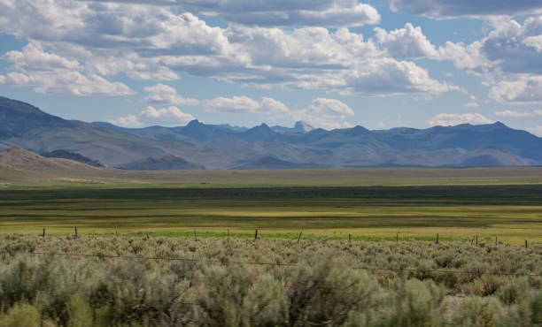 istock Mountain range in the Salmon-Challis National Forest 1298971712