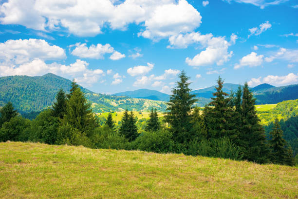 istock mountainous rural landscape in summertime 1298972105