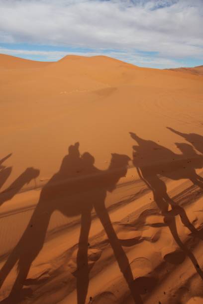 istock View of the Sahara desert 1298979623