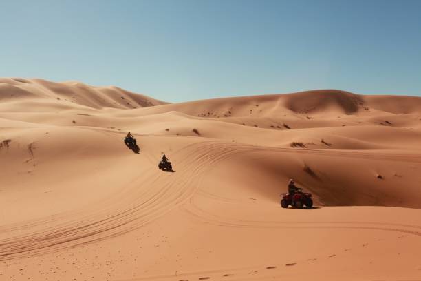 istock View of the Sahara desert 1298979685