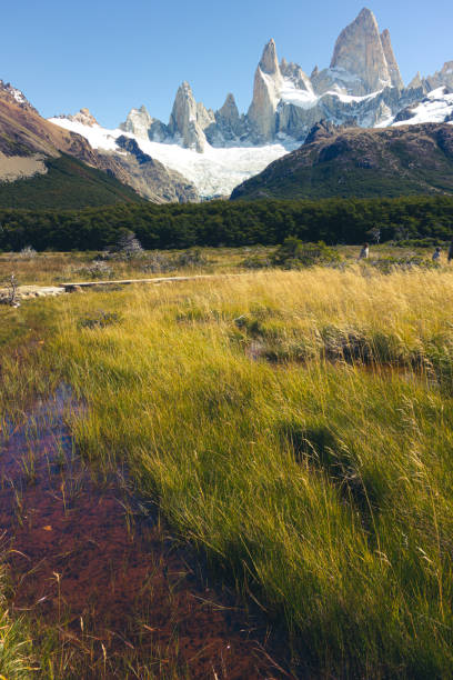 istock Small creek flowing through green grass beneath towering Patagonian peaks 1298979810