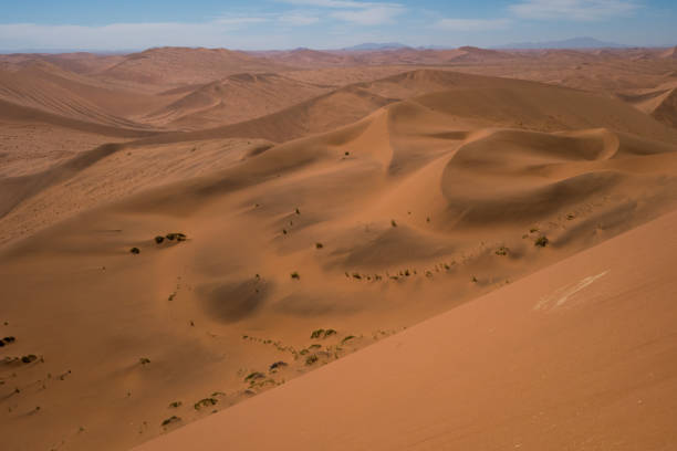 istock Namibian desert landscape with dramatic warm light 1298979870