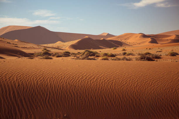 istock Namibian desert landscape with dramatic warm light 1298979912
