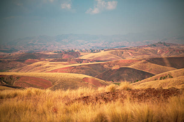 Golden grass and red dirt with blue hazy sky