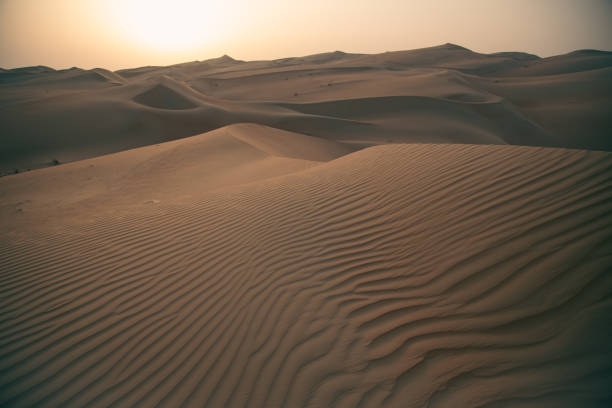 istock Desert landscape at sunrise with wind lines on dunes 1298980138