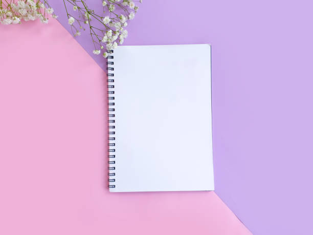 istock notebook  gypsophila flowers on a colored background 1298982540