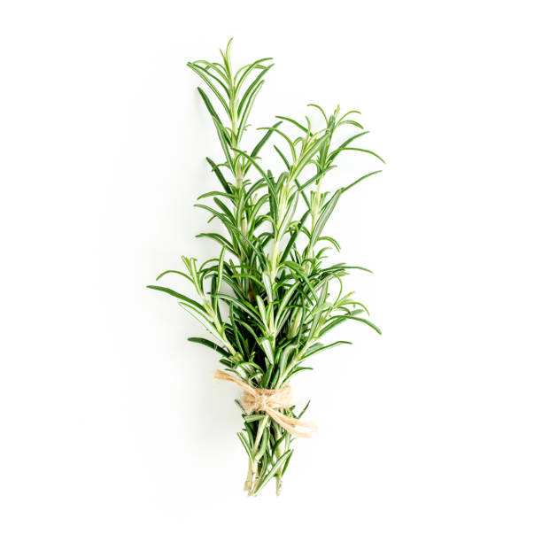 istock Green bundle of rosemary isolated on a white background. Herbs. Flat lay. Top view 1298984181