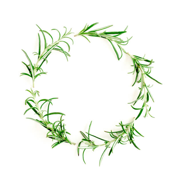 istock Round wreath frame made herbs, green branches, leaves rosemary. Flat lay. Top view 1298984290