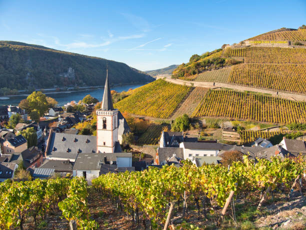 秋のライン川のアスマンスラウゼンの中心部 - german culture germany vineyard village ストックフォトと画像