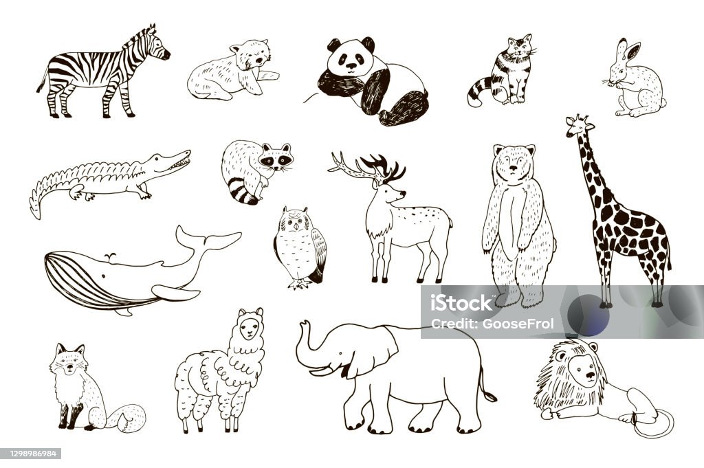 Vector Line Animals Animals Illustrations Vector Set Stock Illustration - Download Image ...