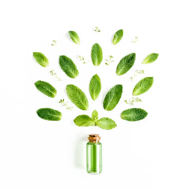 Essential oil and greenmint leaves on white background. Medicinal herbs. Flat lay. Top view. High quality photo