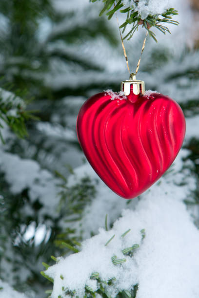 istock Red heart on snow covered pine branch .Valentines day background. 1298989196