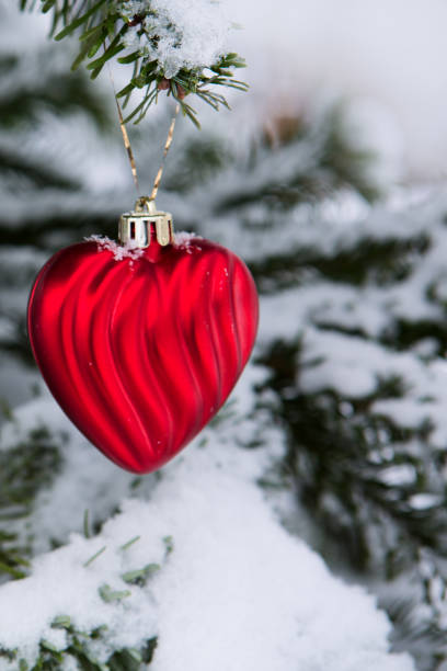 istock Red heart on snow covered pine branch .Valentines day background. 1298989236