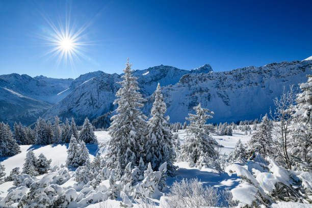 istock Snowcapped trees in ski resort at winter morning 1298989268