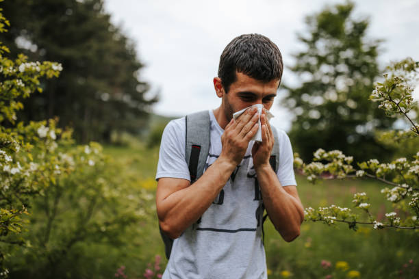возникли проблемы с аллергией на пыльцу - allergy pollen tree hay fever стоковые фото и изображения