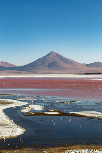 Scenic view of Laguna Colorada and volcano peak on background at the sunset in Altiplano, Bolivia