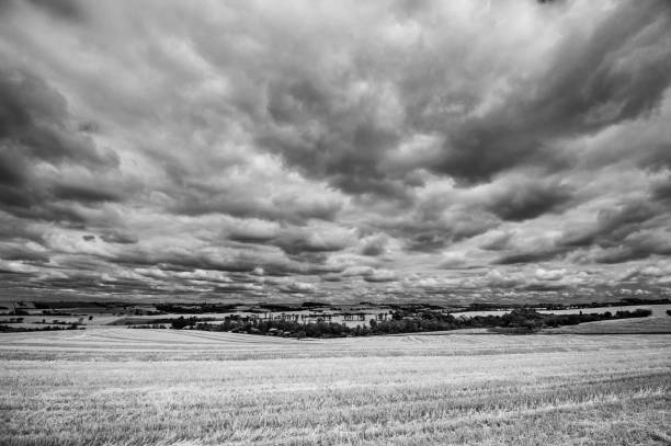 istock rural landscape. black and white 1298995655
