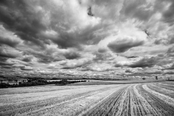 istock rural landscape. black and white 1298996417