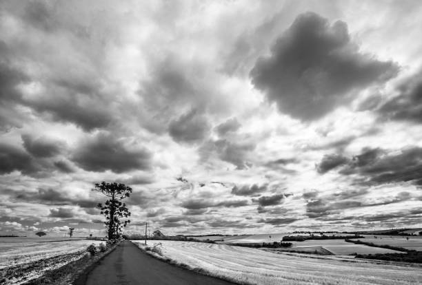 istock rural landscape. black and white 1298996473