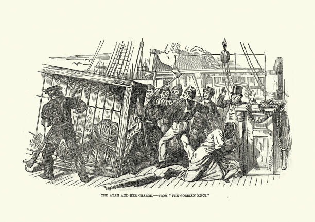 istock Tiger escaping from a cage in a sailing ship, Victorian 1850s, 19th Century 1298996609