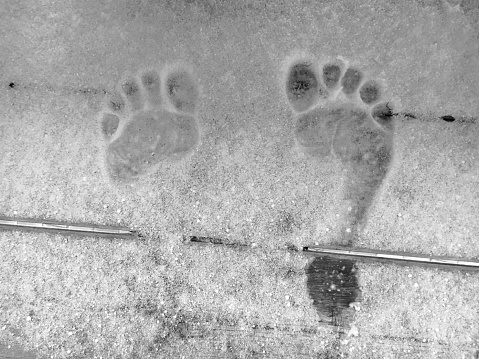 Footprints of naked feet in the fresh white snow. Black and white photography.