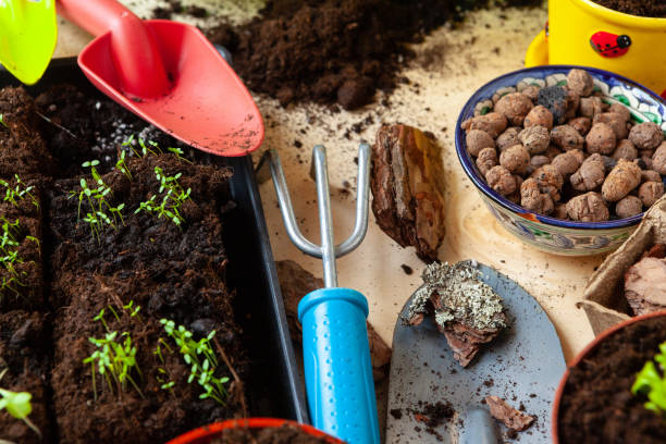 istock Small green sprouts in pot close up 1298996859