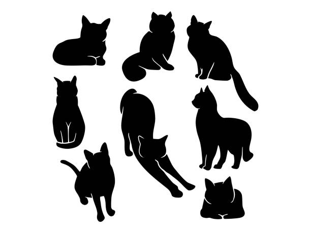 Cats animal shapes Cat shapes. Various domestic cat poses. Vector for crafters, designers, illustrators, decorators. Well suited for creating stickers, for creating design graphics and cut files. cat pose yoga stock illustrations