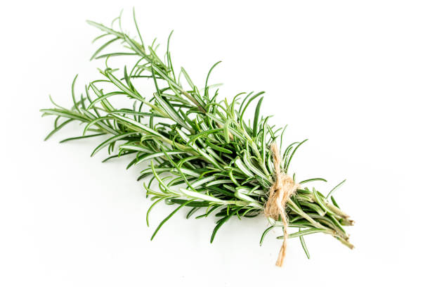 istock Green bundle of rosemary isolated on a white background. Herbs. Flat lay. Top view 1298997576