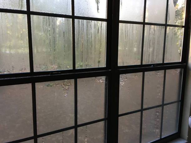 istock Condensation inside poorly insulated windows on cold day 1298998102