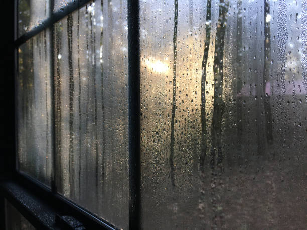 istock Dripping condensation inside poorly insulated windows on cold day 1298998138