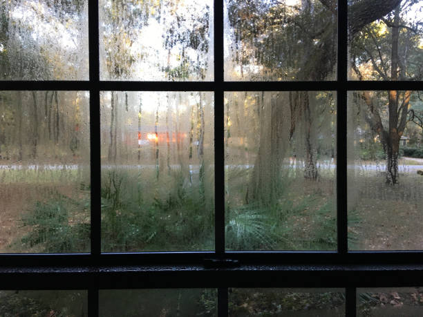 View though condensation inside poorly insulated windows on cold day Inefficient double glazing and metal frames on windows results in heavy condensation on the indoor surfaces during cold weather.  Photo taken in Gainesville, Florida, on iPhone 6S Plus humidity photos stock pictures, royalty-free photos & images