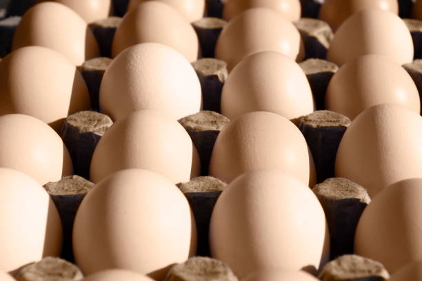 istock Lots of chicken eggs in a cardboard box with hard shadows 1298998854