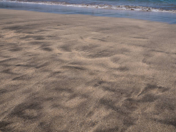 istock Sand beach Playa de la Tejita Tenerife. 1298998992