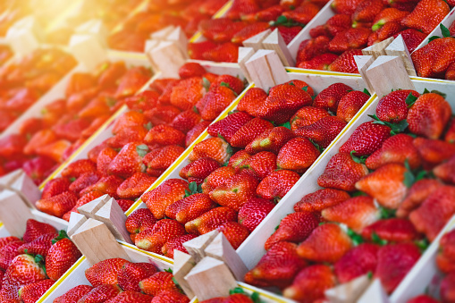Freshly harvested red ripe strawberries in wooden boxes on the counter at a farmers market at sunset. High quality photo