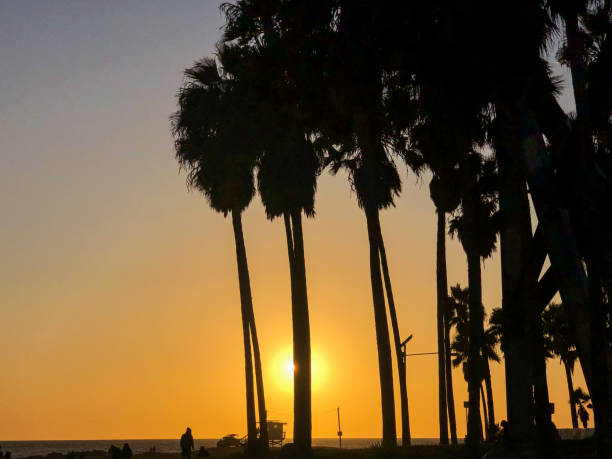 istock Beach sunset in Venice, CA in winter 1299003445